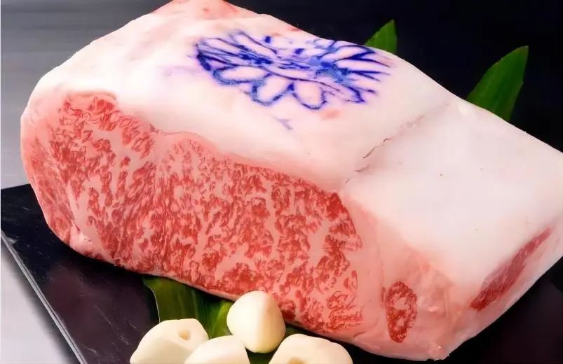 野路菊標記