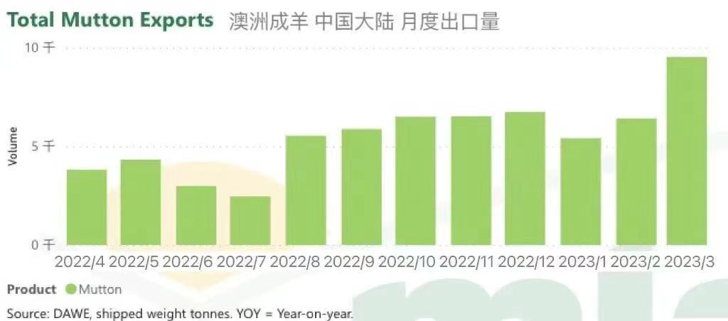 澳洲成羊出口中國(guó)大陸月度出口量