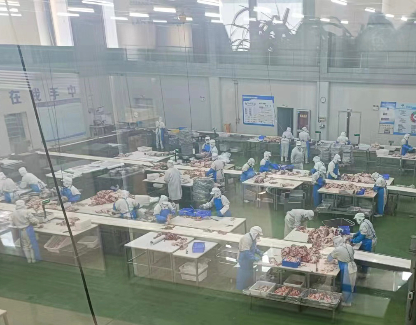 冷凍羊肉出口