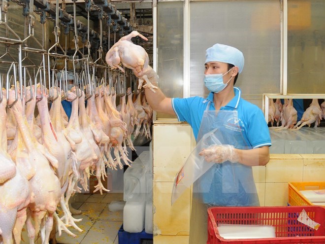 沙特禁止進(jìn)口阿根廷禽肉
