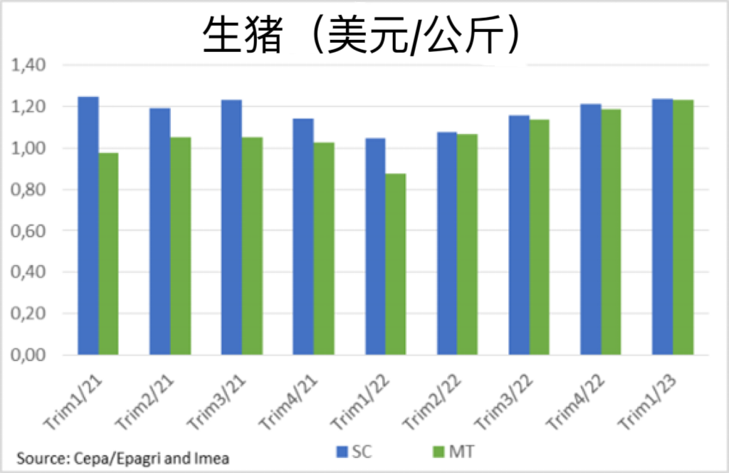 巴西生豬價格