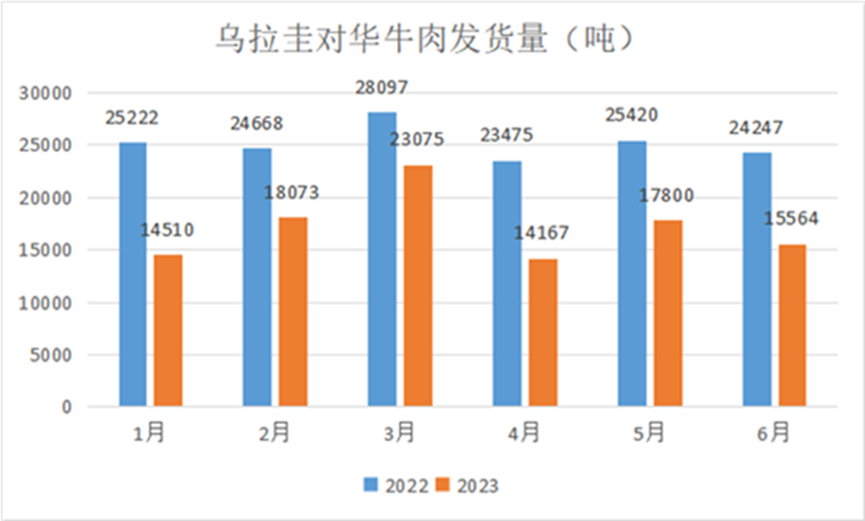烏拉圭對(duì)華牛肉發(fā)貨量