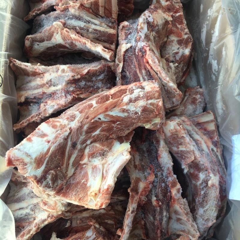 現貨現發澳大利亞羊蝎子100kg